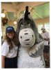 IMG_Dec302018at91103AM.jpg