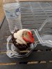 Boardwalkcupcake.jpg