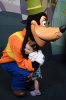 aepcotgoofy.jpg