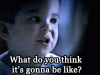 wdw.gif