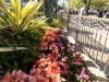 DSCN0044.JPG
