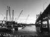 IMG_3117.jpg IMG_3117.jpg