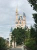 IMG_5029.jpg