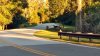 FW deer back road 10.218.jpg