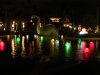 Dino with Lake Bulbs.JPG