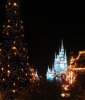 Main Street - Tree and Castle.JPG