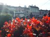 IMG-20181229-WA0035.jpg IMG-20181229-WA0035.jpg