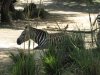 IMG_3449 - Copy.JPG