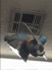 5E75AD1C-D598-4020-990B-48F3AA33FD16.jpeg