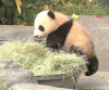 download.gif