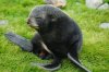 DSC07385.jpg