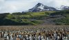 DSC07539.jpg