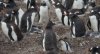 DSC06740.jpg