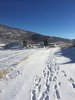 28F647BB-FDBC-4E57-95D8-E5B988459819.jpeg