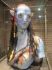 IMG_3587 - Copy.JPG
