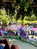 2018-05-25 11.21.45.jpg