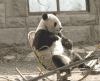 giphy (7).gif