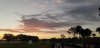 20190113_071212.jpg