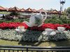 IMG_1084_resize.JPG