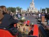 IMG_1911_resize.JPG