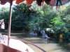 IMG_1965_resize.JPG