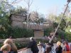 IMG_2008_resize.JPG