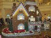 IMG_1586_resize.JPG