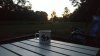 FW mug sunrise  oct 2018.jpg