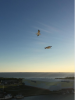 upload_2019-1-18_9-18-13.png