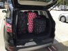 luggage copy.jpg