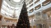 GF 2018 tree up close.jpg GF 2018 tree up close.jpg