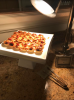 upload_2019-1-22_8-43-36.png