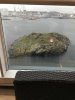 IMG_6753.jpg