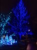 8AF34407-2CD3-434C-B395-92DB426230DB.jpeg