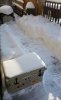 snow1.jpg