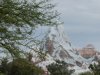 DSCN4155-1.jpg