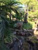 IMG_6372.jpg