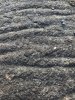 IMG_7082.jpg