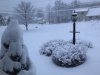 thumbnail_IMG_5270.jpg