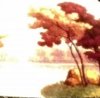 crop3377.jpg