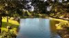 FW meadows pond 10.2018.jpg