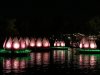 IMG_0655.jpeg