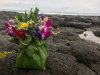 IMG_0085.jpeg
