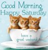 76A389BB-77B9-45D5-AC7D-465C994F612F.jpeg