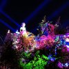 2018-05-25 21.37.10.jpg