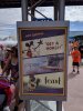 EpcotFilmfestival.jpg