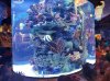 20181014_134510.jpg
