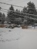 20190204_085251.jpg