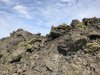 IMG_7266.jpg