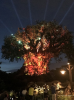 upload_2019-2-5_15-33-5.png